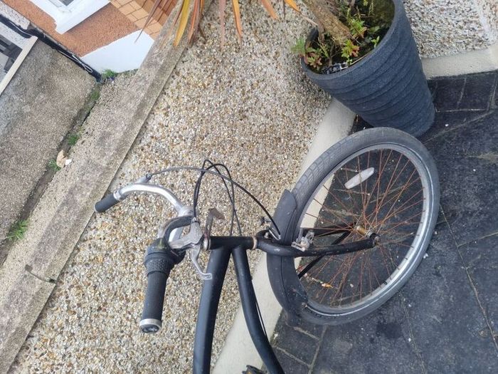 bike cruiser needs tidying