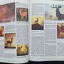 Vintage Encyclopaedia of Walt Disney Animated Characters 1987 Image 6