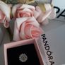 new genuine pandora reflections charm Image 3