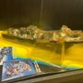 Batman Forever - Batcave Power Centre - Bluebird Toys 1995 Image 5