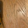 Solid wood kitchen table Image 6