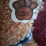 Beautifully Soft Teddy Bear Image 2