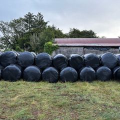 Silage bales