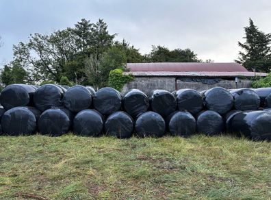 Silage bales