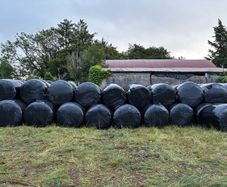 Silage bales