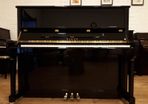 New Hailun H-5P | Award Winning Premium Piano
