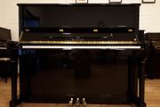 New Hailun H-5P | Award Winning Premium Piano
