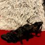 Elegant Black Strappy Heels Size UK 5 / EUR 38 Image 7