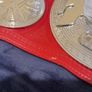 WWE raw tag team title belt commemorative Image 4