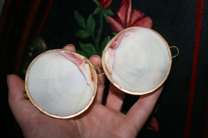 Vintage Genuine Clam Shell Compact Beautiful 2,4"