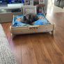 personalised dog bed Image 2