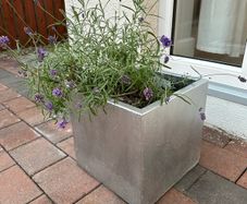 Lavander pot