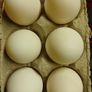 Fresh Duck Eggs Image 2