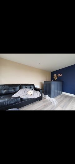 Home Bar Setup