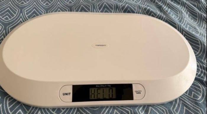 Babies/ pats scales