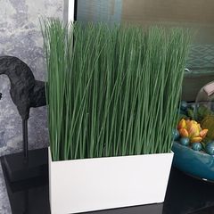 Artificial grass with pot-NEW!