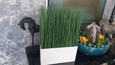 Artificial grass with pot-NEW!