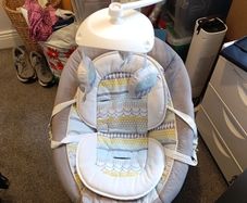 Joie Serina Swivel Swing