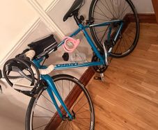 ladies bike GANT