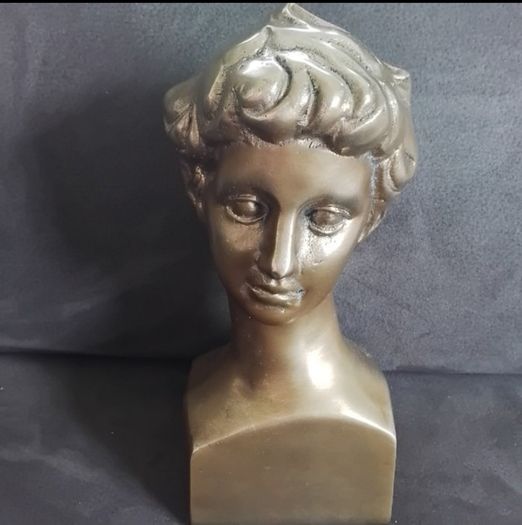 Bust Of David - Patinated Bronze