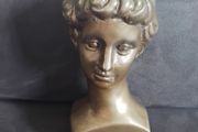 Bust Of David - Patinated Bronze