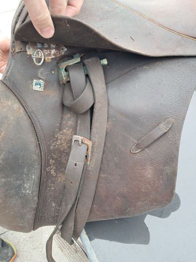 Equestrian Saddles x 6