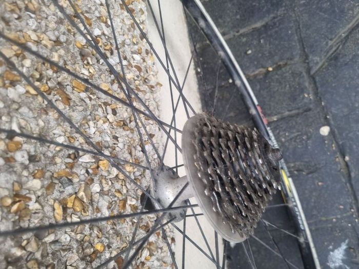 bike wheels  x 3