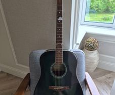 Acoustic Guitar