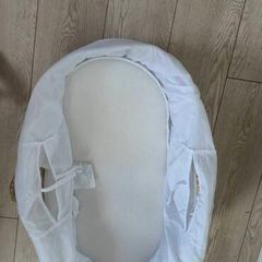 Moses basket