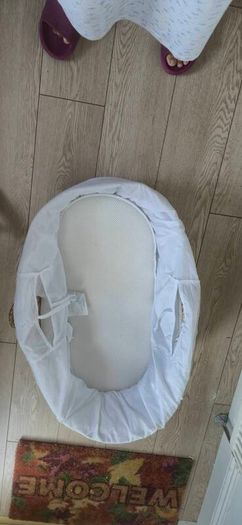 Moses basket