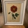 Set of Floral Prints Image 3
