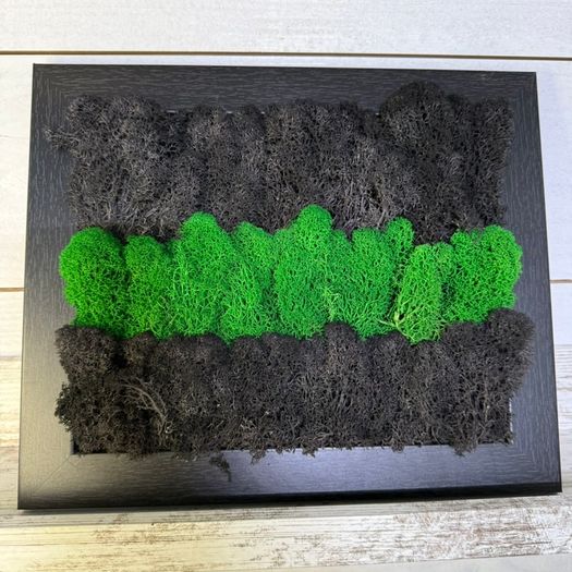 Frame 01 - 20x25cm natural moss