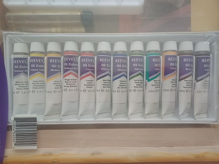 Reeves Canvas Art Oil Paint Set NEW