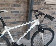 Carrera bike