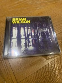 Brian Wilson - No Pier Pressure