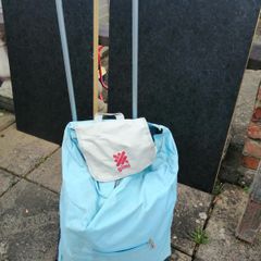 Shopping/travel/beach bag