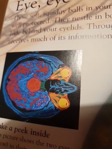 Human Body Eyewonder Enter A World Of Discovery