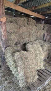 Small Square Hay Bales For Sale 3 euro each