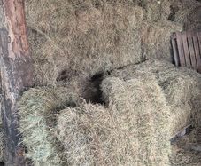 Small Square Hay Bales For Sale 3 euro each
