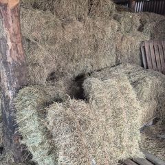 Small Square Hay Bales For Sale 3 euro each