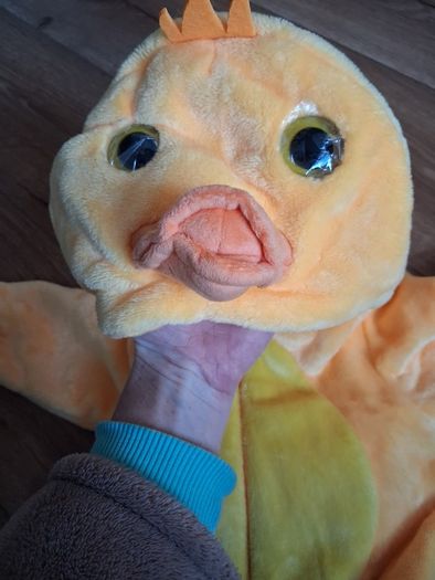 Duck costume