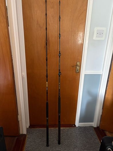 fishing rods