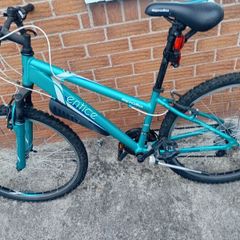 teens Bike or small adult