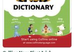 Collins Irish Dictionary (u.p.s.) 1987 (2)