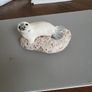 Seal ornament Image 5