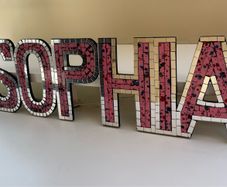 Sophia mirrored wall art