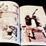 2011. Doyle. The Greatest Hurling Story Ever Told. John Harrington. Image 3