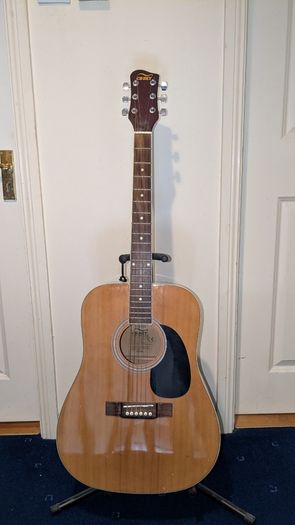 Acoustic guitar