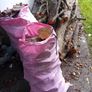 Firewood Image 2
