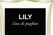 Lily EDP 50 ml new Theodoros Kalotinis